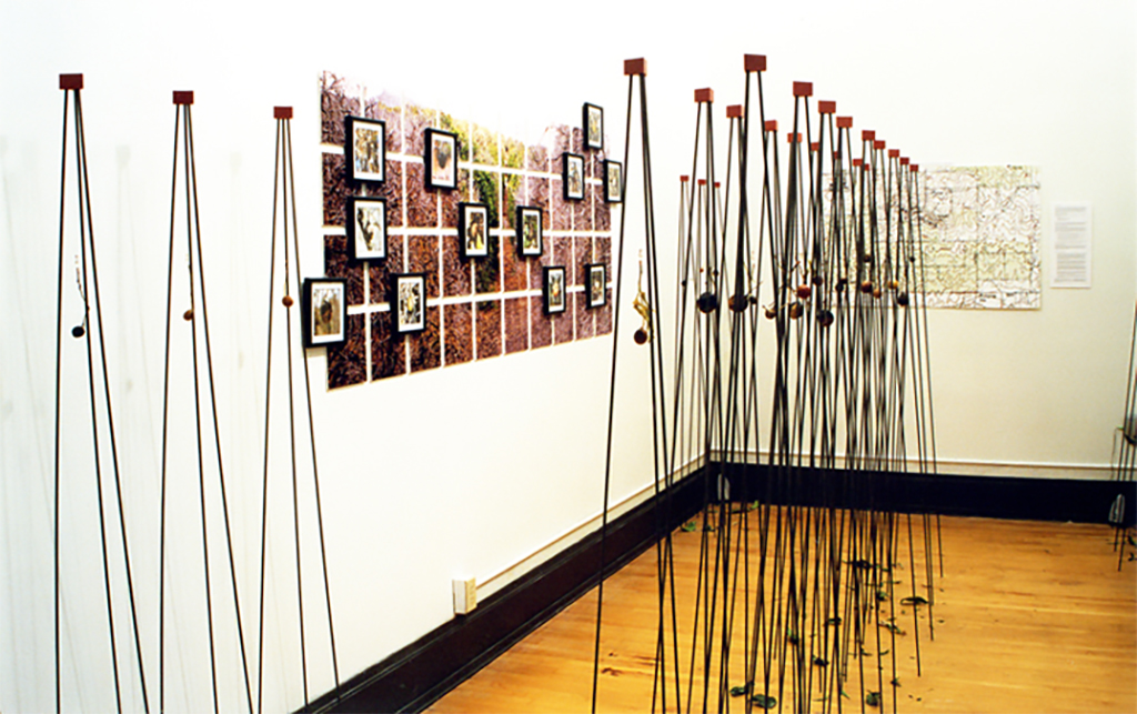 orange grove project